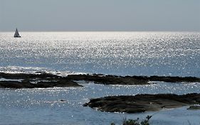 Vitamin Sea